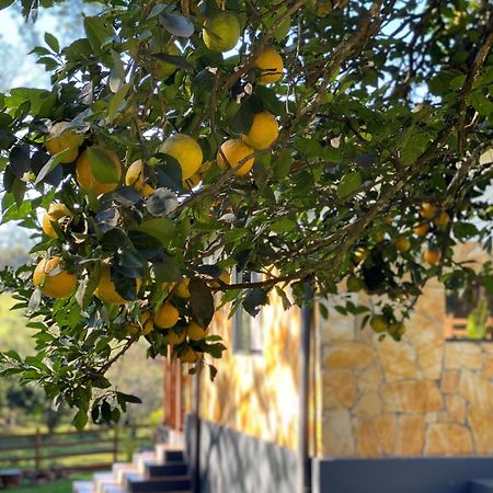 Casa De Campo Fichtelberger Hohenau 외부 사진