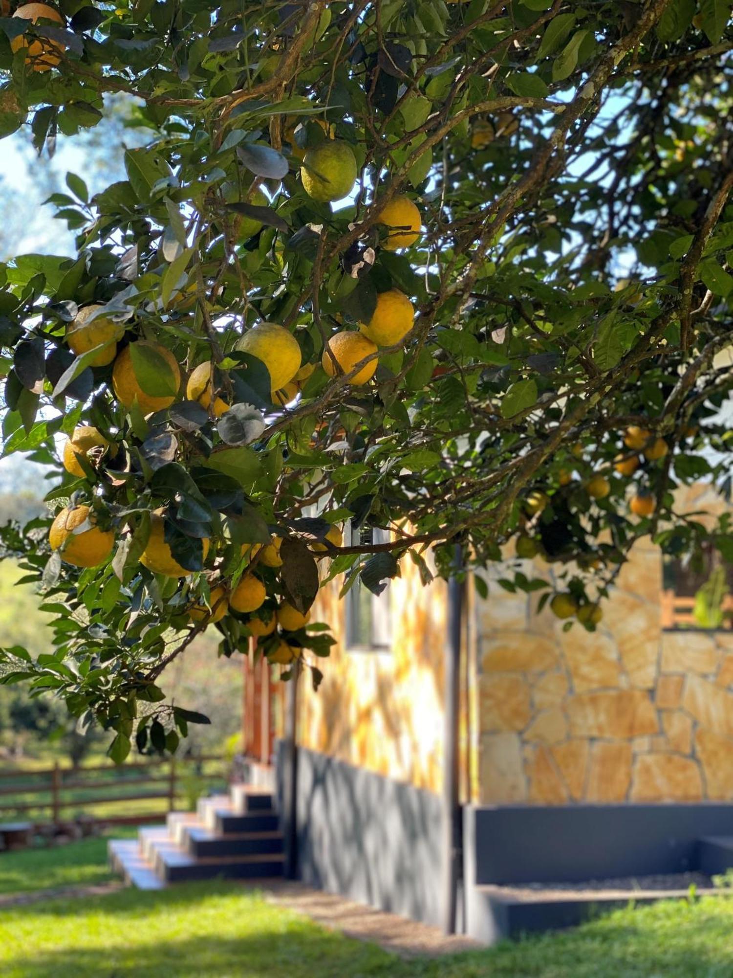 Casa De Campo Fichtelberger Hohenau 외부 사진
